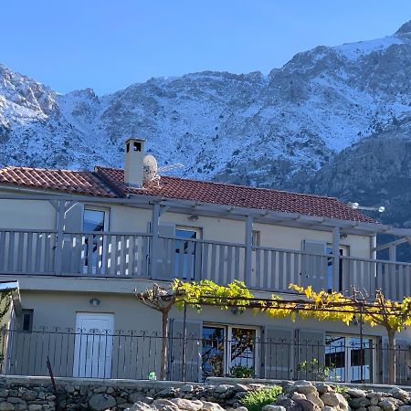 Casa Basgiu, Chambres Avec Balcon Et Table D'Hotes Zilia Bagian luar foto