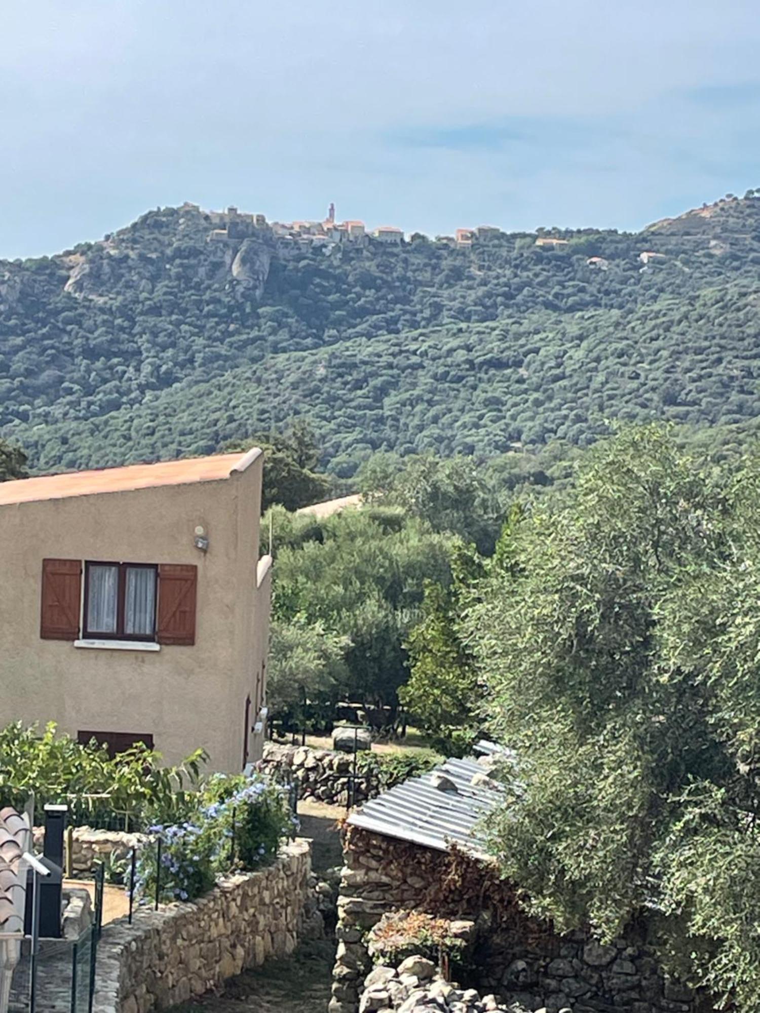 Casa Basgiu, Chambres Avec Balcon Et Table D'Hotes Zilia Bagian luar foto